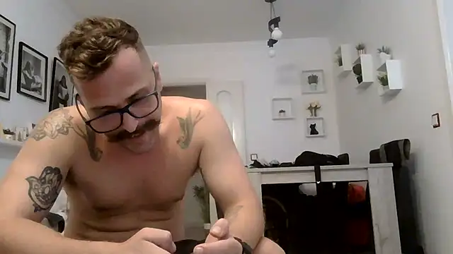Show webcam de yanick931