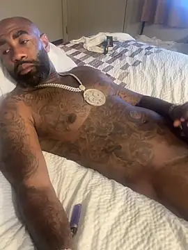 QHefner52 – webcam-show