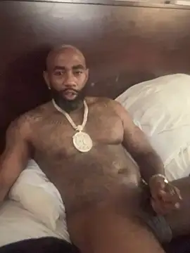 QHefner52n Webbikameraesitys