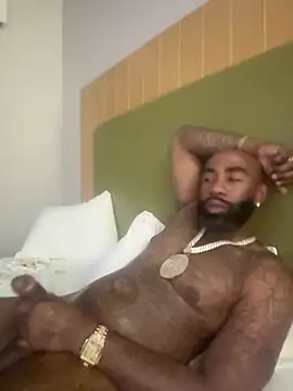 QHefner52 webcam show