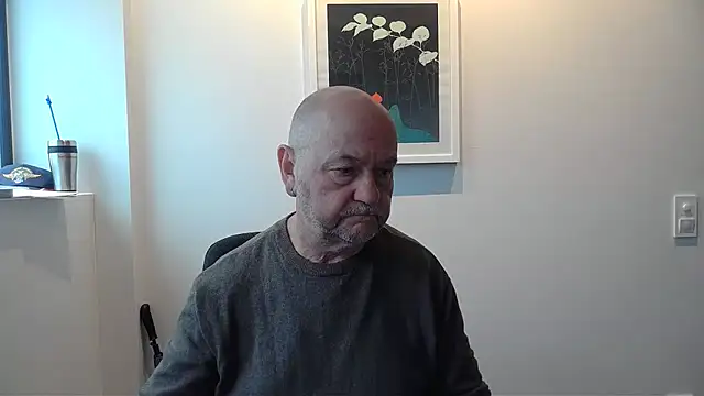 Buggemann Webcam-Show