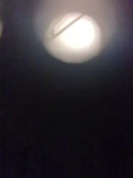 Buggemann 网络视讯表演