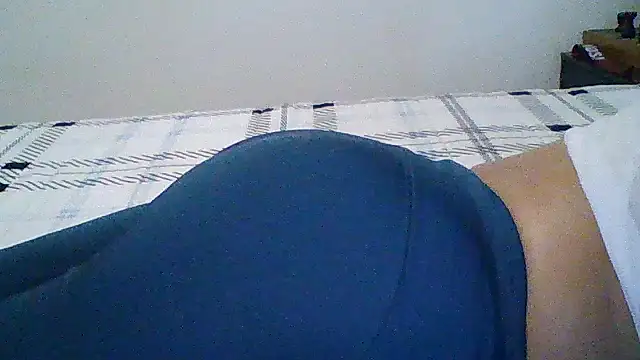 Show Webcam de nowkim