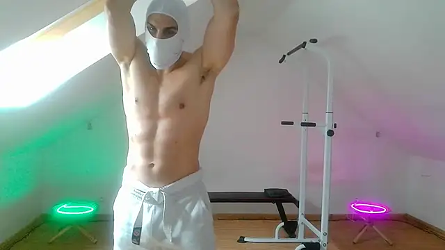 NinjaLaser Show in webcam