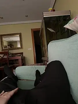 licanp Pertunjukan Webcam