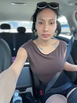 FerrariFrenchn Webbikameraesitys