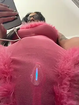 Show webcam de FerrariFrench