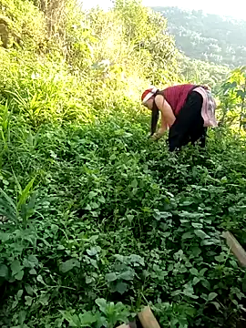 kalara_kail 라이브 XXX 채팅