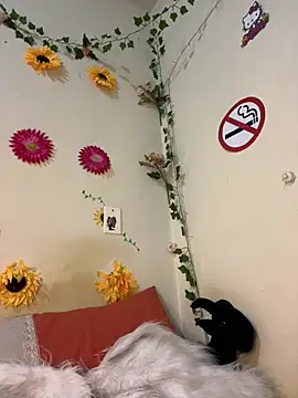 SpidderSecret's Live XXX Chat