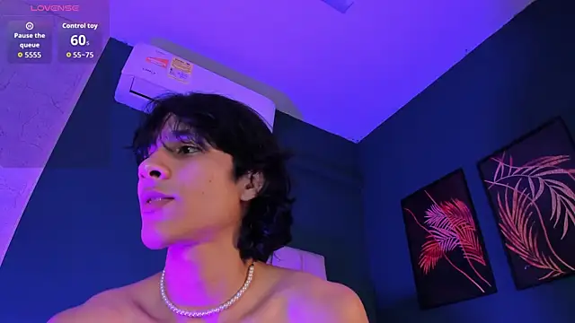 Show Webcam de Cheys_Mast