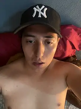 amarte_n Webbikameraesitys