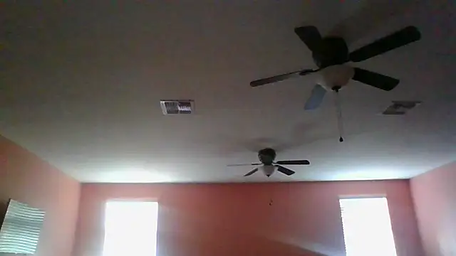 Show webcam de dracogotti