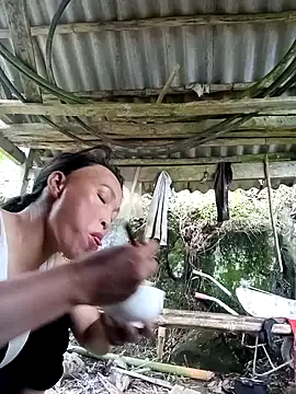 NIANIAKUTE Webcam show