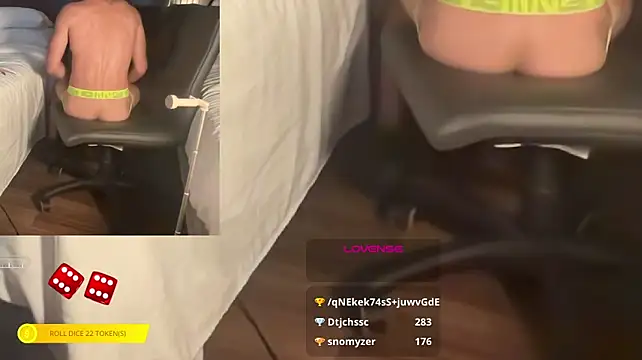 DylanBrook's Webcam Show