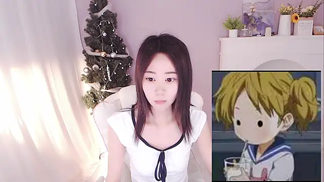 hall-33 Show Webcam