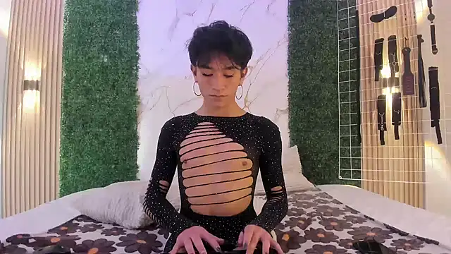 عرض كام cococumps