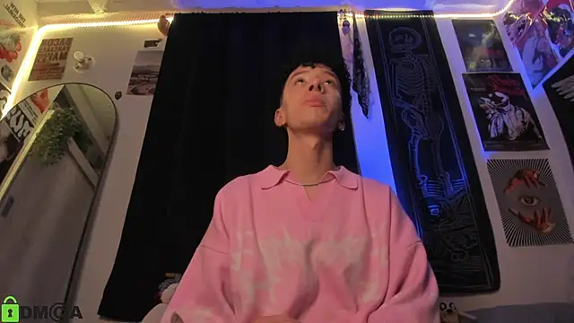 dante_sk webcam show