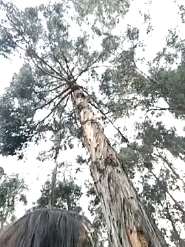 old_soul_and_young_spirit 在線直播表演