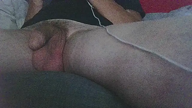 Patm3 Webcam-Show