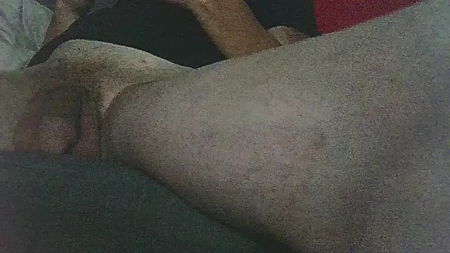 Patm3 Webcam show