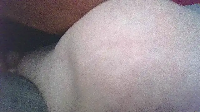 Show de Patm3 na webcam