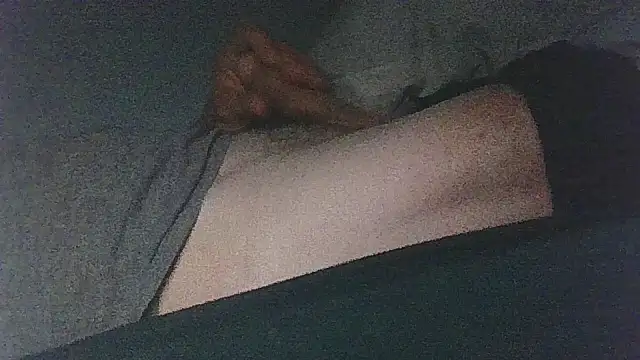Patm3 Webcam show