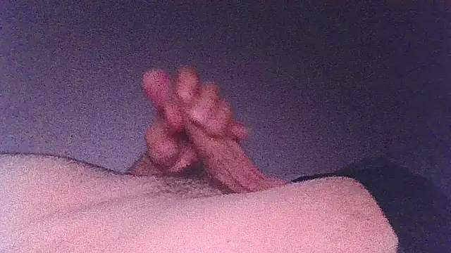 Patm3のウェブカメラショー