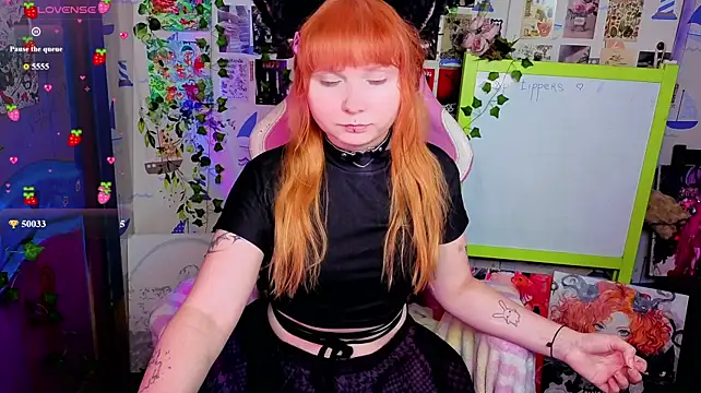 usagi_sasagi Show in webcam