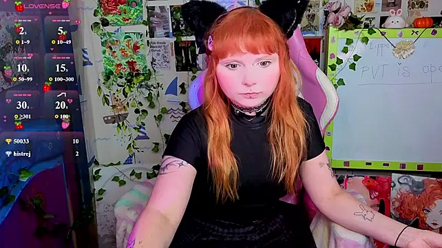 Webkamerová show usagi_sasagi