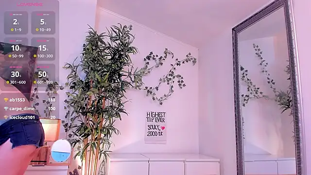 Show de mira0_0 na webcam