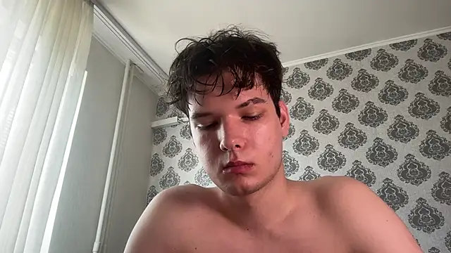tomasdickpickn Webbikameraesitys