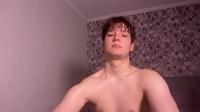 tomasdickpickn Webbikameraesitys