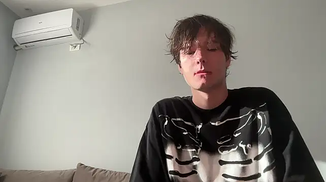 Show Webcam de tomasdickpick