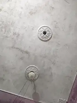 ALIZA_FENDY 실시간 채팅방