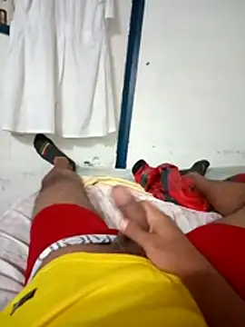 Show webcam de theking0157