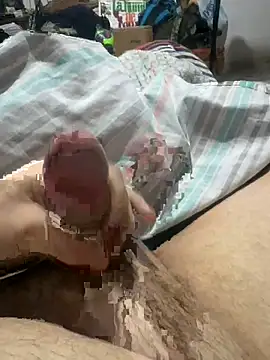 venteveo1 网络视讯表演