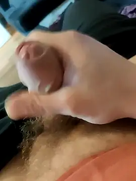 haetsaan Webbikameraesitys