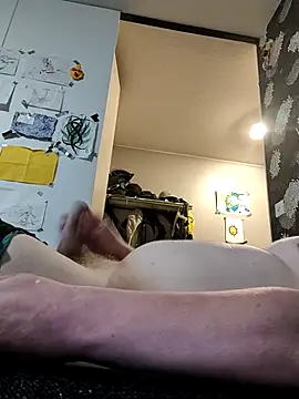 haetsaan Webbikameraesitys