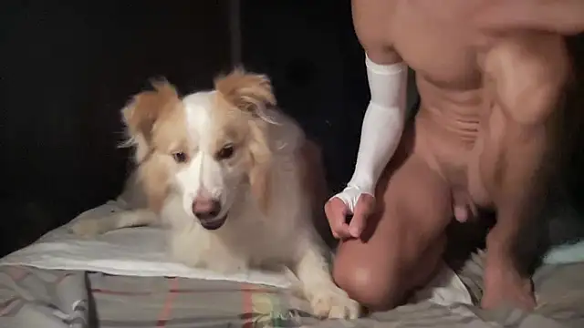 Mauriice Show Webcam