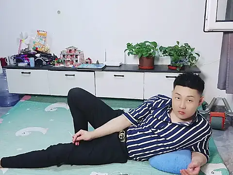 Llpl322 Show Webcam