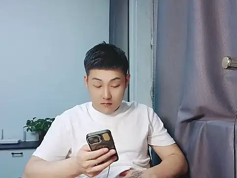 Llpl322n Webbikameraesitys