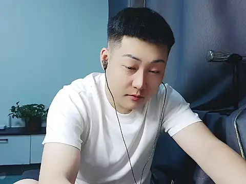 Llpl322 网络视讯表演