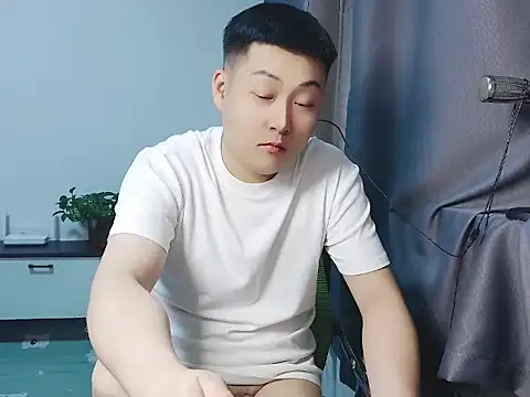 Llpl322 Show Webcam