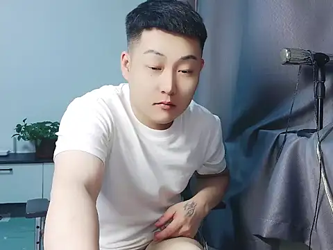 Llpl322 Show Webcam