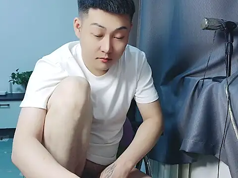 Llpl322 Show Webcam