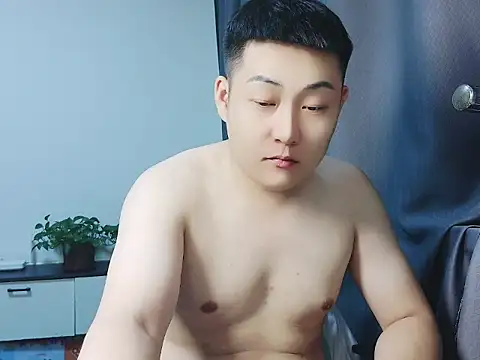 Llpl322 网络视讯表演