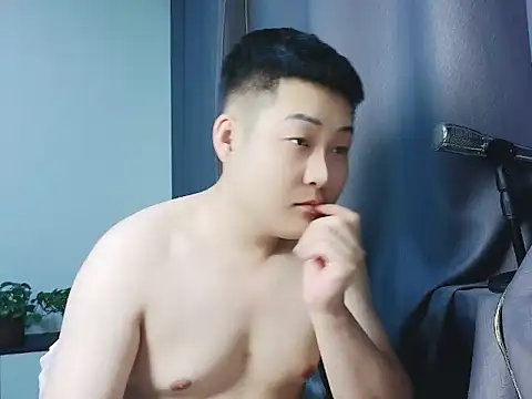 Llpl322 Show Webcam