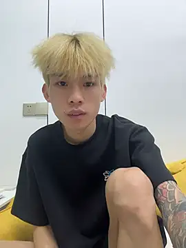 KPL-11 Show Webcam
