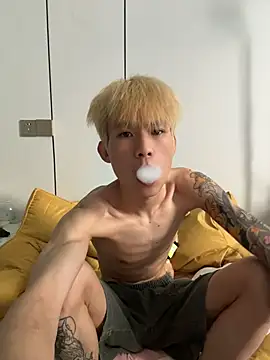 KPL-11 – webcam-show