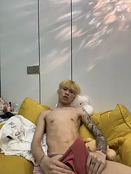 KPL-11 Show Webcam